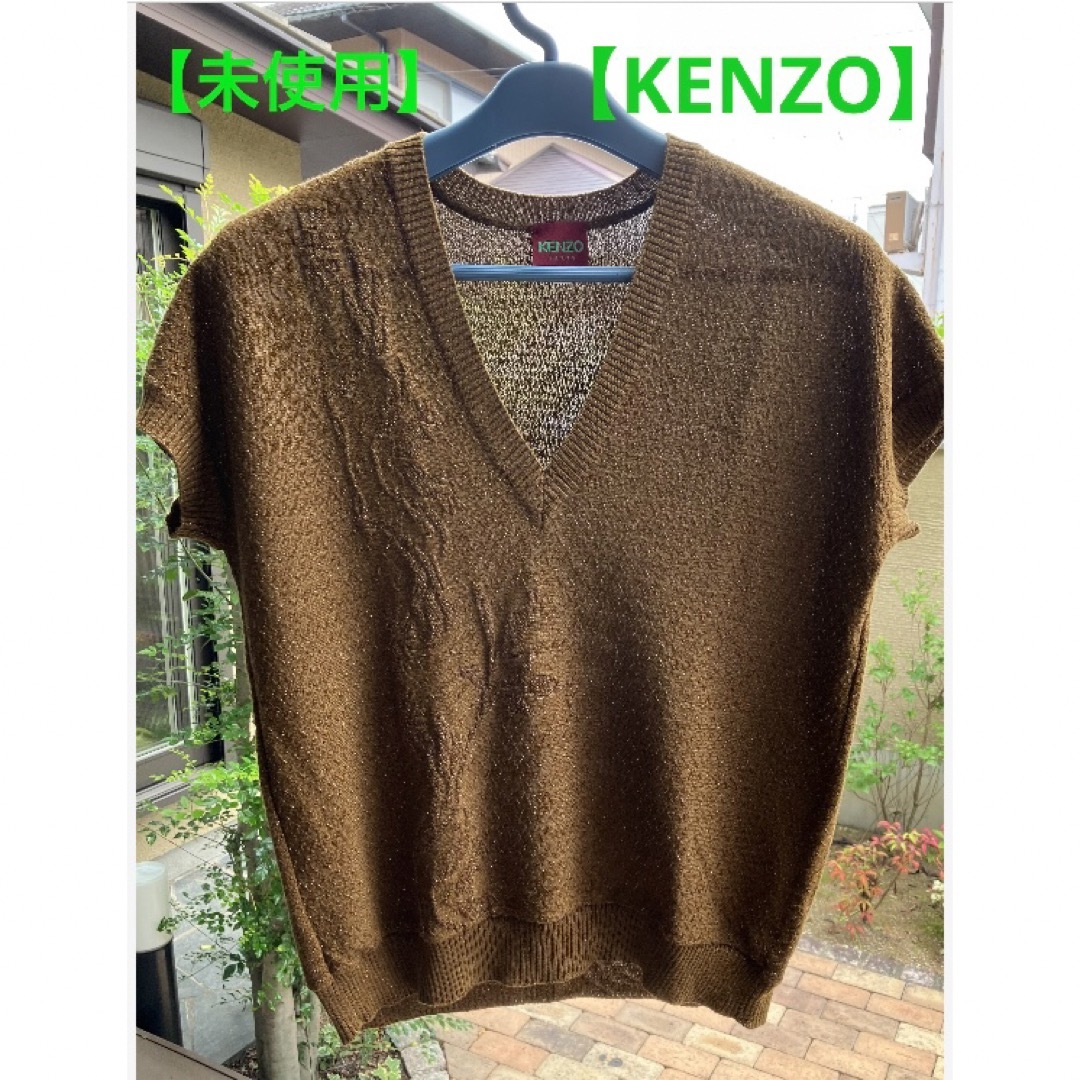 KENZO(ケンゾー)の【未使用】【KENZO】ラメ入り服 レディースのトップス(Tシャツ(半袖/袖なし))の商品写真