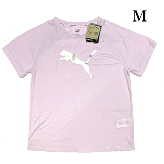 プーマ(PUMA)のPUMA　プーマ　EVOSTRIPE 半袖 Tシャツ　レディース　M　ラベンダー(Tシャツ(半袖/袖なし))