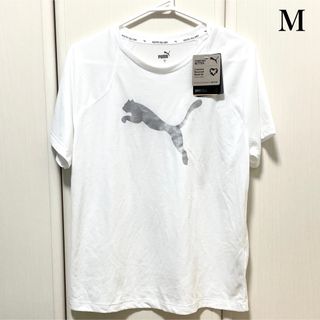 プーマ(PUMA)のPUMA　プーマ　EVOSTRIPE 半袖 Tシャツ　レディース　M　ホワイト(Tシャツ(半袖/袖なし))