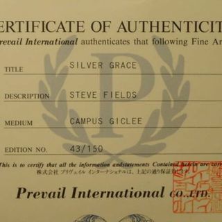 スティーブ・フィールド SILVER GRACE
