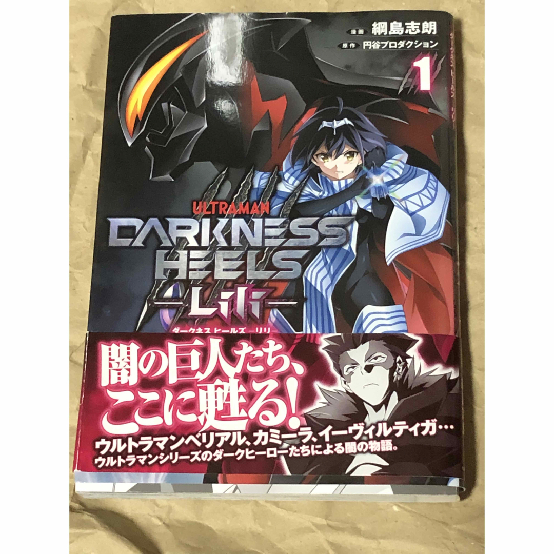 角川書店(カドカワショテン)のけんじろう様専用　ＤＡＲＫＮＥＳＳ　ＨＥＥＬＳ‐Ｌｉｌｉ‐ １、2 全巻セット エンタメ/ホビーの漫画(全巻セット)の商品写真