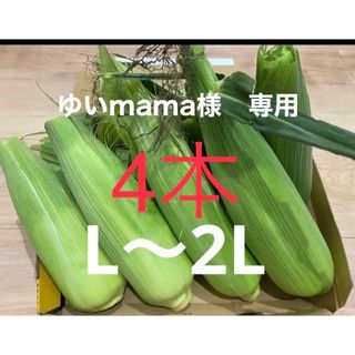 ゴールドラッシュ　トウモロコシ　無農薬(野菜)