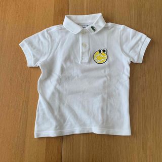 ラコステ(LACOSTE)のラコステ×ヤズブキー(Tシャツ/カットソー)