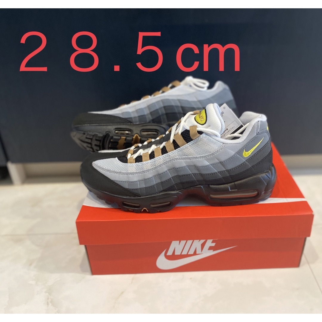 28.5cm Nike Air Max 95 Icons