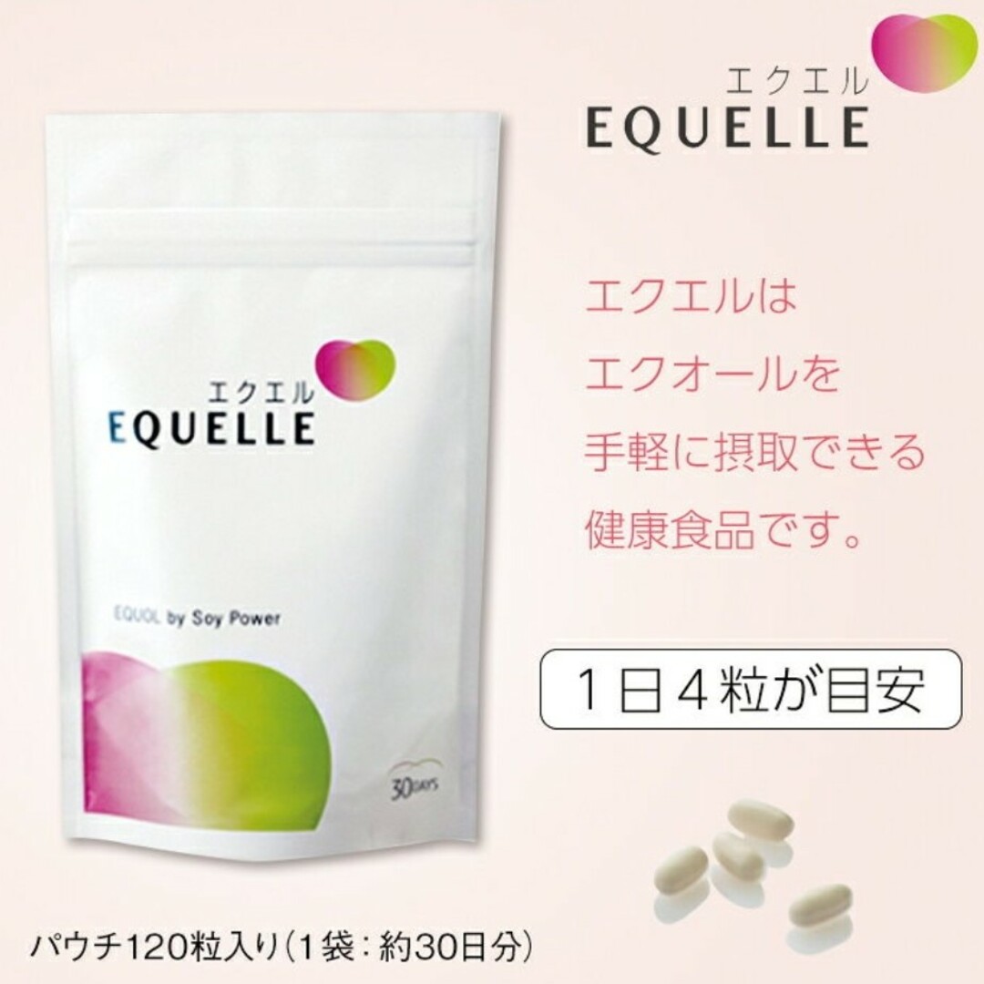 大塚製薬(オオツカセイヤク)の大塚製薬 エクエル パウチ 30日分 120粒 食品/飲料/酒の健康食品(その他)の商品写真