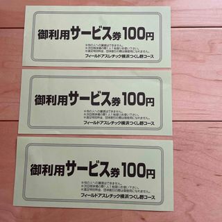 フィールドアスレチック横浜つくし野コース　割引券(遊園地/テーマパーク)