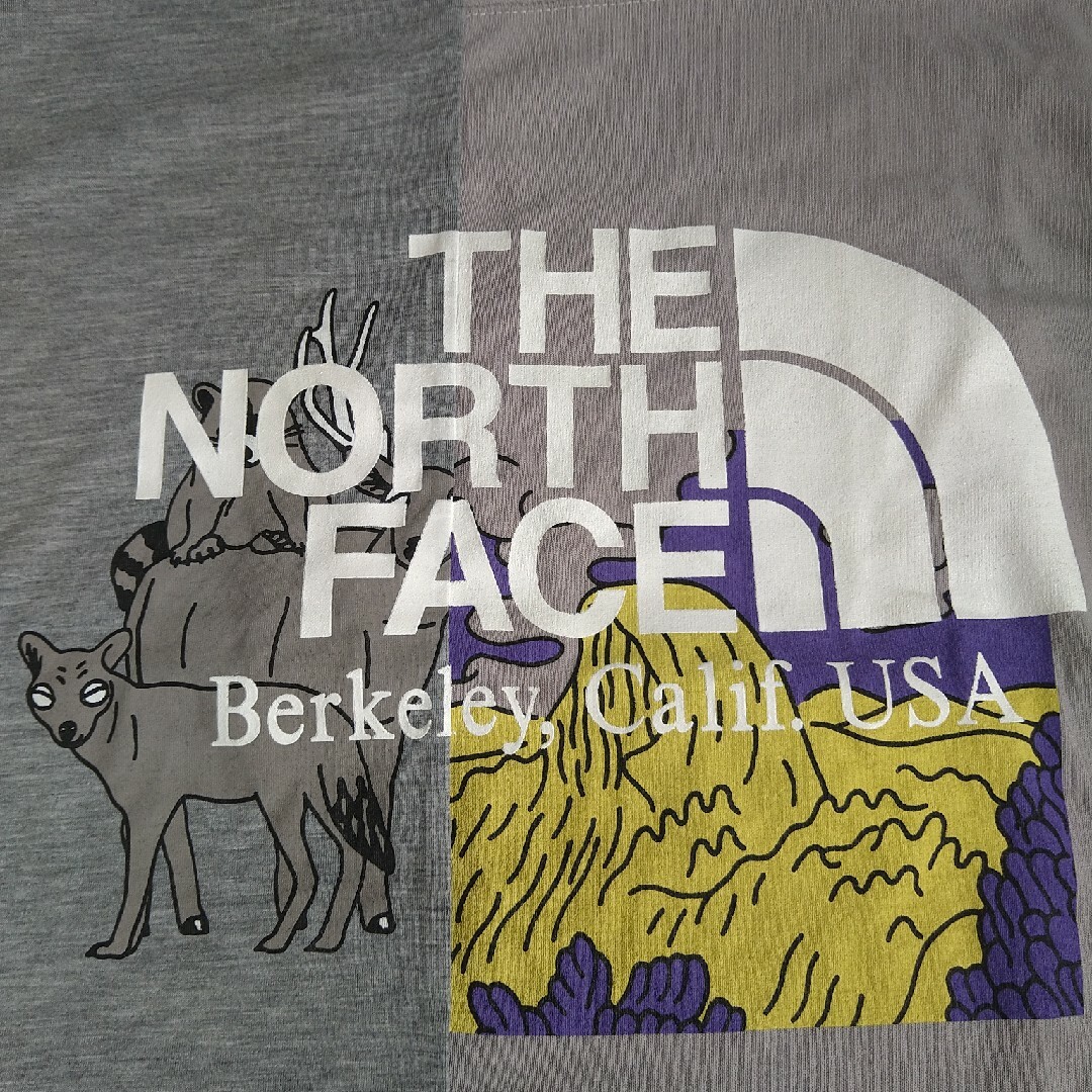 THE NORTH FACE(ザノースフェイス)のTHE NORTH FACE ｻﾞﾉｰｽﾌｪｲｽ ﾅﾅﾐｶ 半袖Tシャツ Ｍ レディースのトップス(Tシャツ(半袖/袖なし))の商品写真