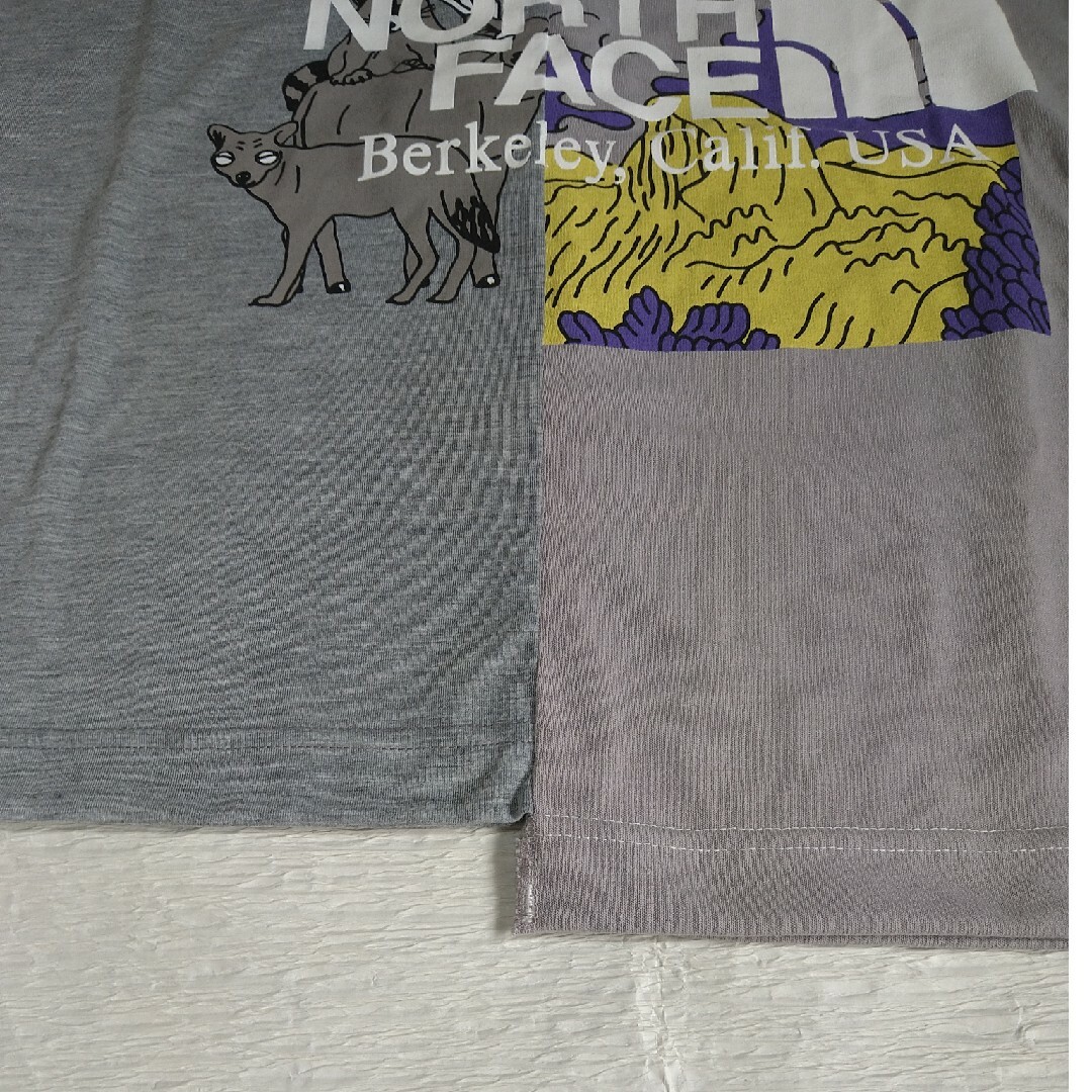 THE NORTH FACE(ザノースフェイス)のTHE NORTH FACE ｻﾞﾉｰｽﾌｪｲｽ ﾅﾅﾐｶ 半袖Tシャツ Ｍ レディースのトップス(Tシャツ(半袖/袖なし))の商品写真