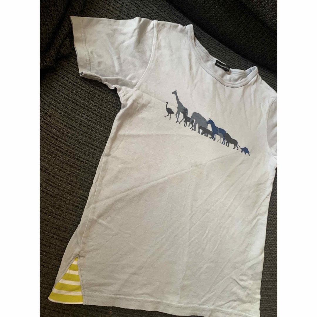 BeBe(ベベ)のBeBe半袖Tシャツ150センチ キッズ/ベビー/マタニティのキッズ服男の子用(90cm~)(Tシャツ/カットソー)の商品写真