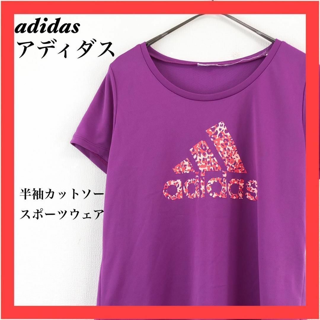 adidas(アディダス)のadidas　アディダス　半袖カットソー　スポーツウェア　フリーサイズ レディースのトップス(カットソー(半袖/袖なし))の商品写真