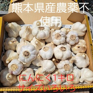 熊本県産　農薬不使用　にんにくサイズいろいろ　1キロ(野菜)