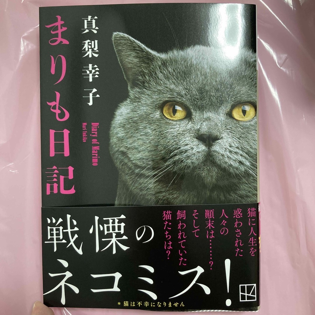 まりも日記 エンタメ/ホビーの本(文学/小説)の商品写真