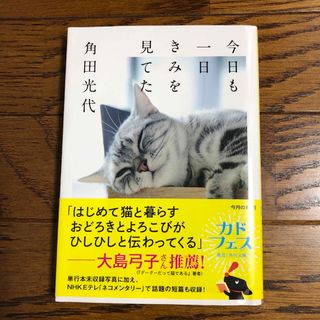 初版本　今日も一日きみを見てた　角田光代(その他)