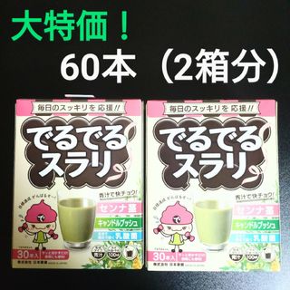 ニホンヤッケン(日本薬健)のでるでるスラリ 日本薬健 青汁 2箱 合計60本(その他)