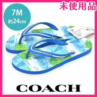 コーチ(COACH) 靴/シューズ(ブルー・ネイビー/青色系)の通販 69点