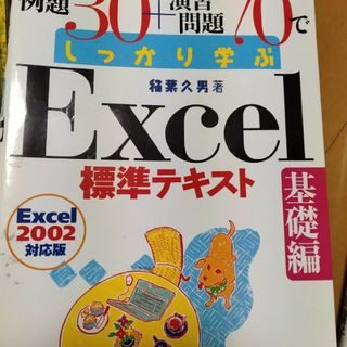 例題３０＋演習問題７０でしっかり学ぶＥｘｃｅｌ標準テキスト 基礎編(コンピュータ/IT)