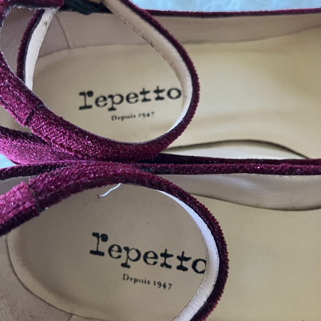 repetto(レペット)の【美品】repetto アンクルストラップ パンプス　size22.5cm レディースの靴/シューズ(ハイヒール/パンプス)の商品写真