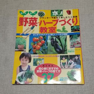 わくわく野菜・ハ－ブづくり教室 プランタ－や庭先で楽しむミニ菜園(趣味/スポーツ/実用)