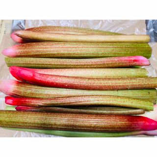 信州産 フレッシュ ルバーブ コンパクト1.3kg程度/簡単クランブルをつくろう(野菜)