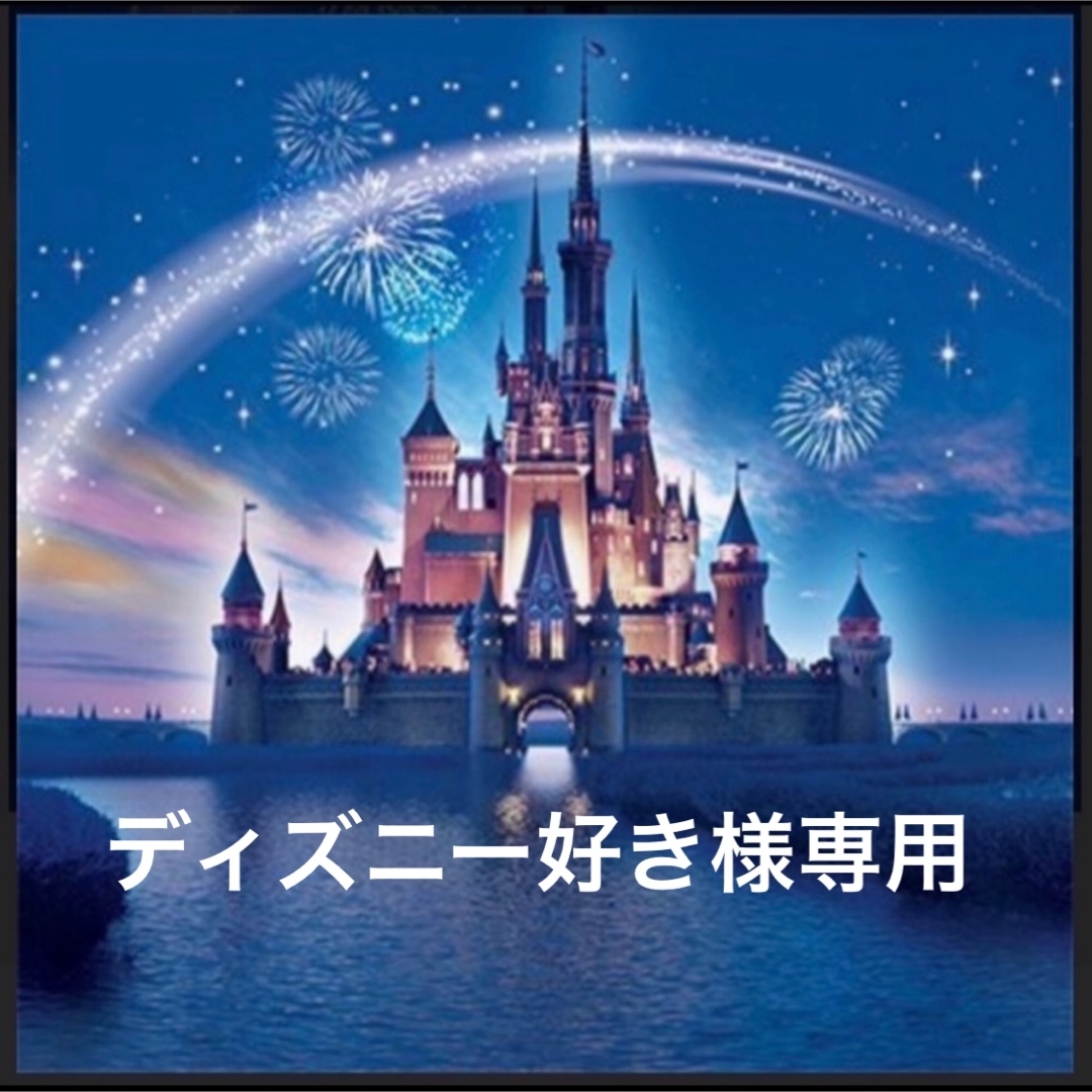 買い安い ディズニー好き様専用⑅ ୨୧ *̩̩̥*̩̩̥ - valodumaja.lv