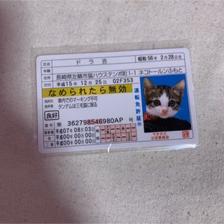 なめ猫　免許証(カード)