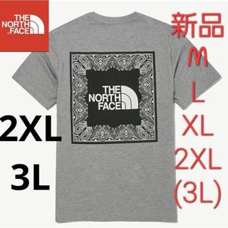 ザノースフェイス(THE NORTH FACE)のTHE NORTH FACE　ノースフェイス　新品日本未発売　Tシャツ　半袖(Tシャツ/カットソー(半袖/袖なし))