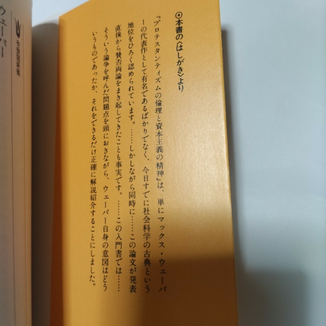 ウェ－バ－　プロテスタンティズムの倫理と資本主義の精神 エンタメ/ホビーの本(ビジネス/経済)の商品写真