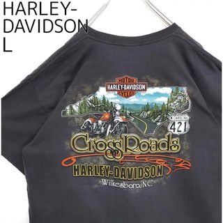 ハーレーダビッドソン(Harley Davidson)のハーレーダビッドソン 両面プリントTシャツ ドクロ バイク L グレー 黒 青(Tシャツ/カットソー(半袖/袖なし))