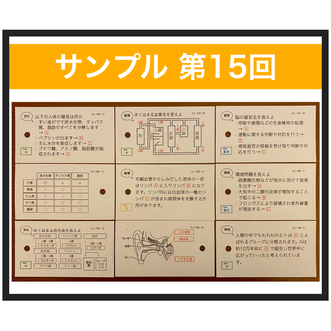 完売 中学受験【6年上 理科 組分け 予習シリーズ 全セット1-17回】暗記