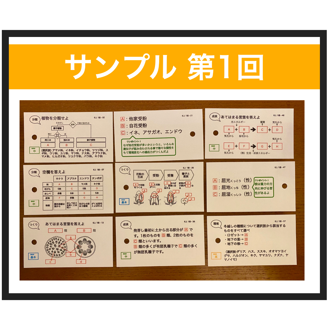 中学受験【6年上 社会・理科全セット1-17回】暗記カード 予習 中学受験【6年上 社会・理科全セット1-17回】暗記カード 予習