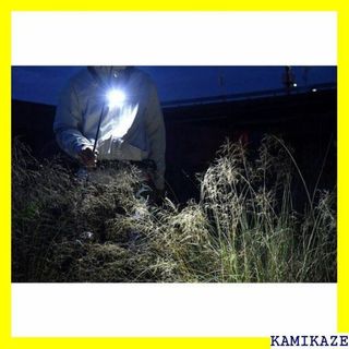 ☆ ZEXUS ゼクサス LEDライト ZX-S700 ネ /赤/電球色 601 ☆ ZEXUS ゼクサス LEDライト ZX-S700 ネ /赤/電球色 601