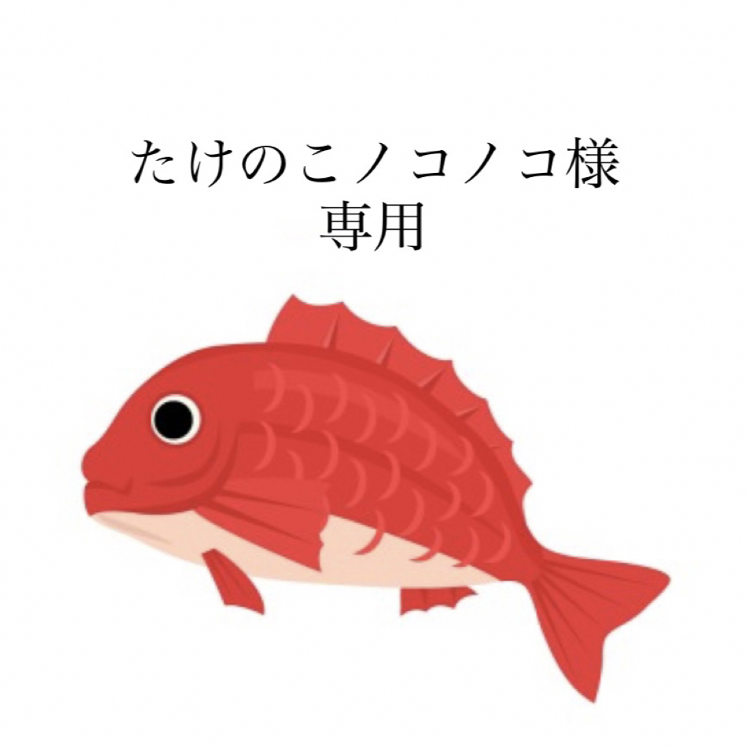 タイラバ タングステン 専用ページの通販 by タングマン shop|ラクマ