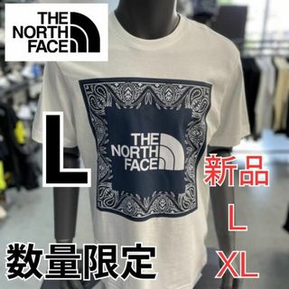 THE NORTH FACE - 日本未入荷 ノースフェイス ネイビー バンダナ