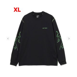 アークテリクス(ARC'TERYX)のARC’TERYX SYSTEM_A ロンT(Tシャツ/カットソー(七分/長袖))