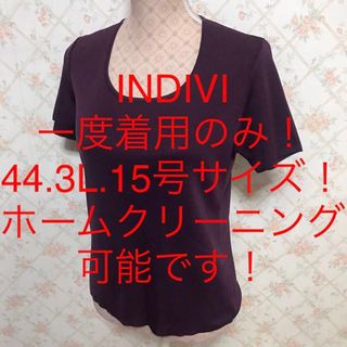 インディヴィ(INDIVI)の★INDIVI/インディヴィ★大きいサイズ！半袖カットソー44(3L.15号)(カットソー(半袖/袖なし))