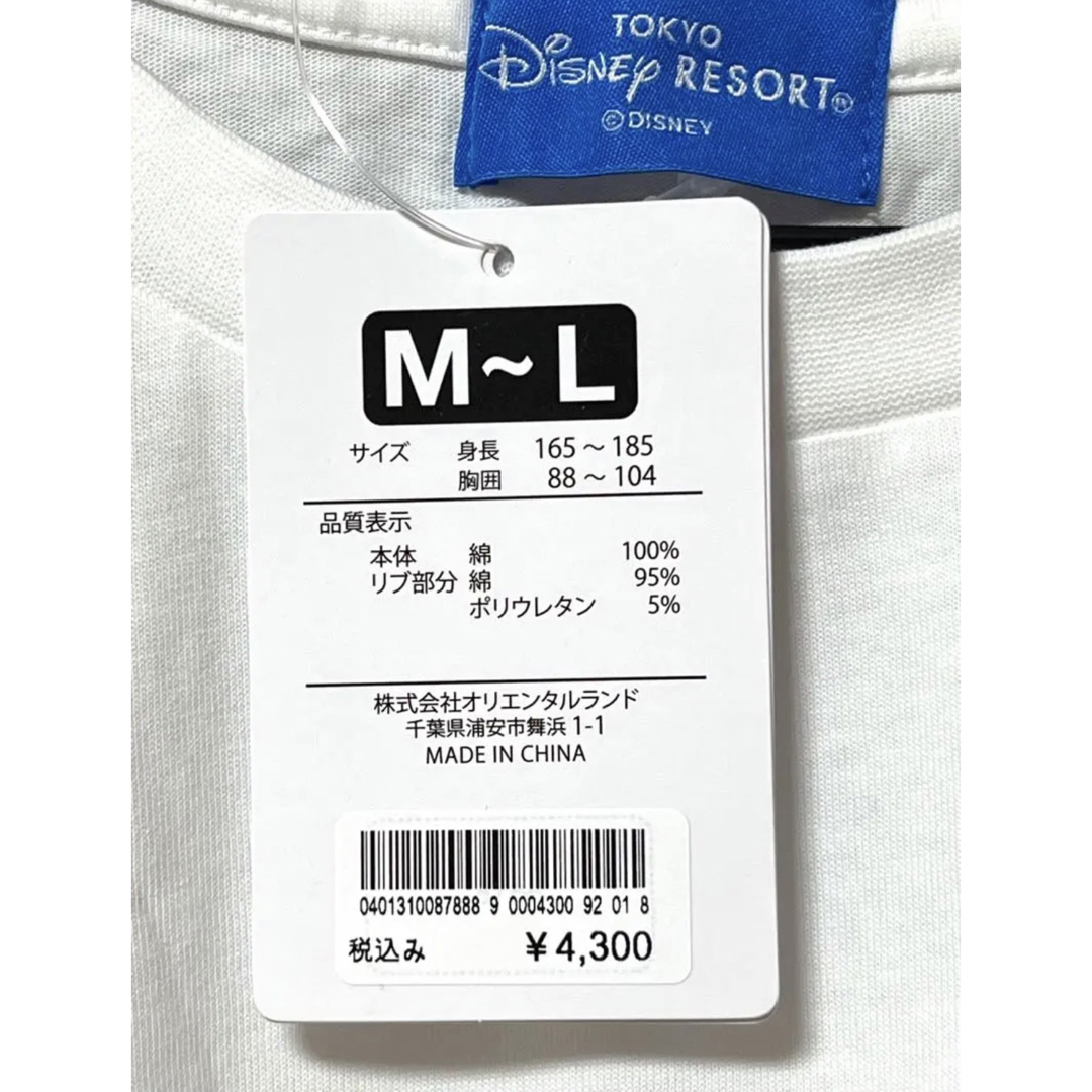 Disney - Tシャツ ビッグシルエット 40周年 ドリームゴーラウンド