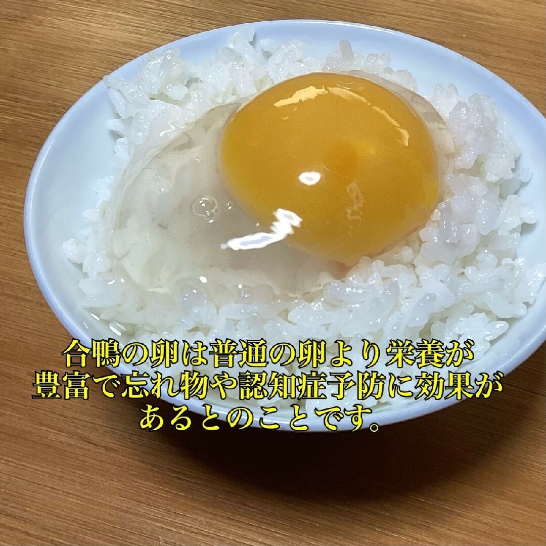 3 岡山県産 平飼い有精卵 合鴨の卵 8個 食品/飲料/酒の食品(その他)の商品写真