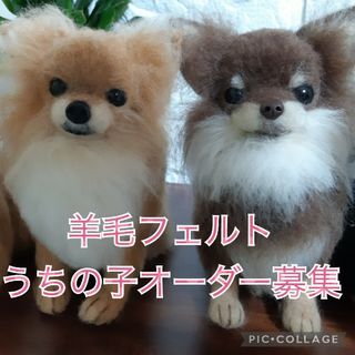 羊毛フェルト『うちの子オーダー受付中』(オーダーメイド)