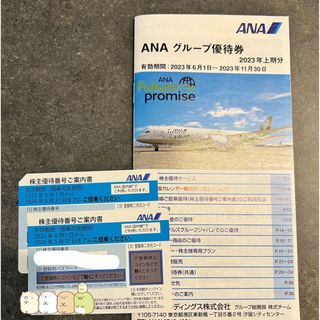 ANA株主優待　2枚　＋　グループ優待冊子(航空券)