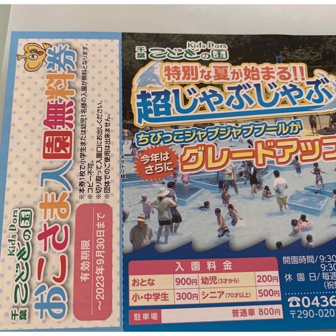 東京サマーランド　ワンデイパス（1Dayパス）  幼児　シニア　9 24まで