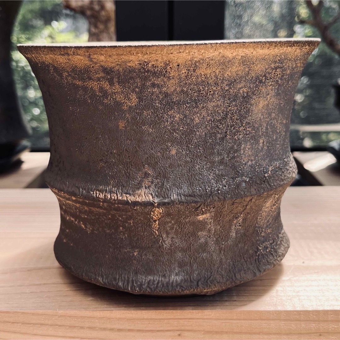 新品未使用】 大鉢 船串篤司 作家鉢 植木鉢 芽の巣山 humanityの通販