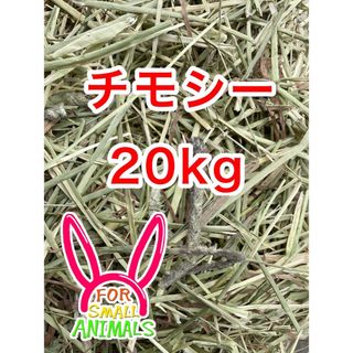カナダ産 チモシー 20kgの通販 by Hay Shop|ラクマ カナダ産 チモシー 20kg