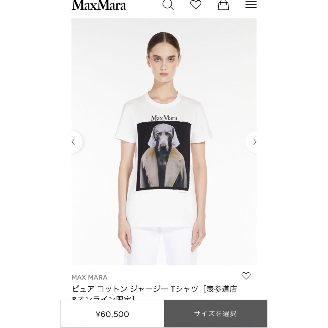 マックスマーラ Tシャツ Sサイズ - Tシャツ(半袖/袖なし)