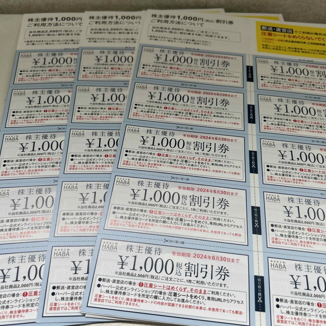 ハーバー株主優待割引券　1000円×10枚