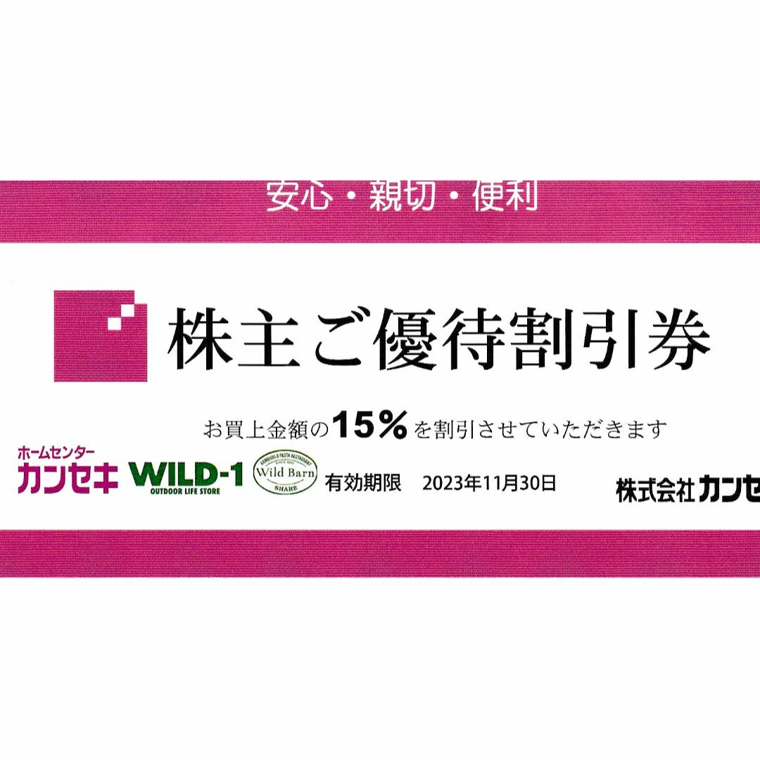 カンセキ株主優待割引券１０枚