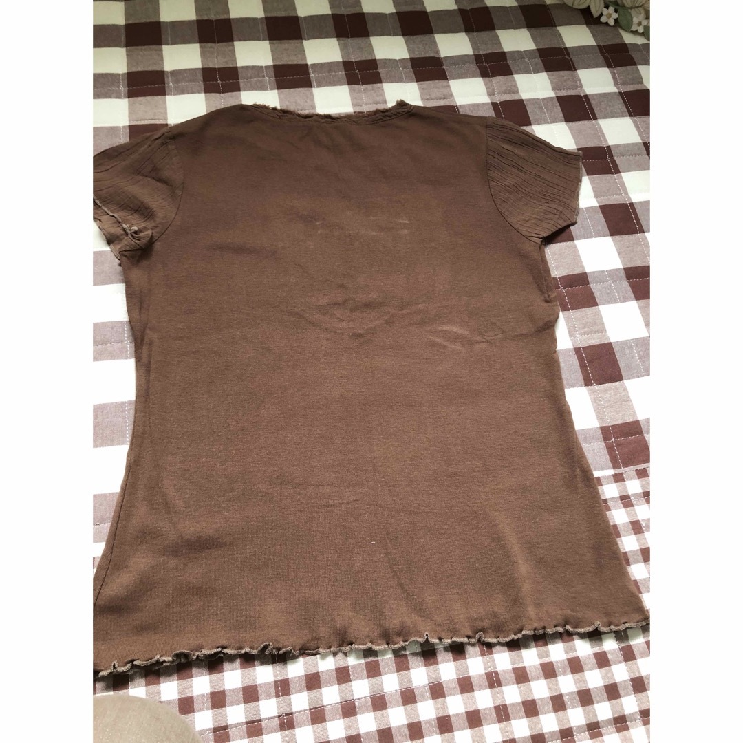 Tシャツ　綿100% レディースのトップス(Tシャツ(半袖/袖なし))の商品写真
