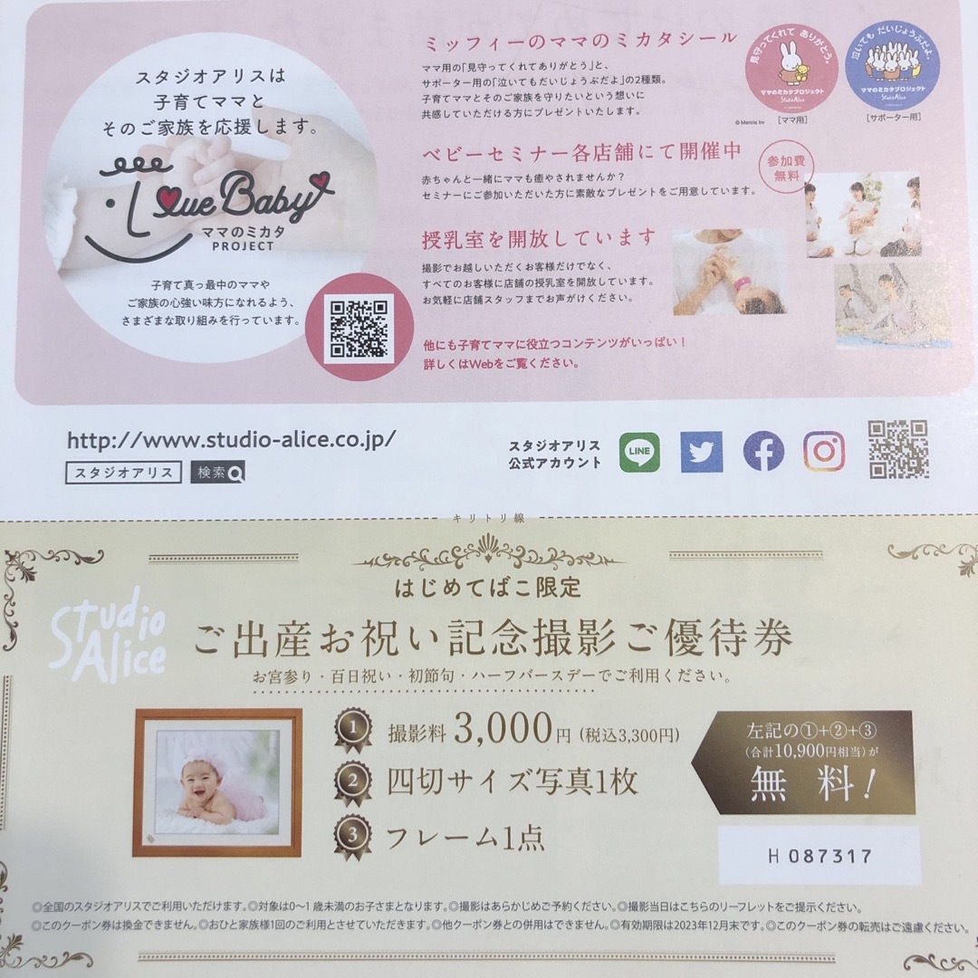 スタジオアリス 優待券 チケットの優待券/割引券(その他)の商品写真