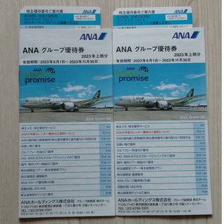 エーエヌエー(ゼンニッポンクウユ)(ANA(全日本空輸))のANA 株主優待券2枚(その他)