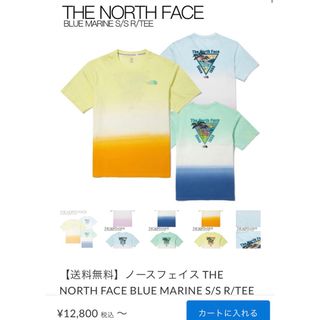 ザノースフェイス(THE NORTH FACE)の【海外限定】THE NORTH FACE BLUE MARINE Tシャツ(Tシャツ/カットソー(半袖/袖なし))