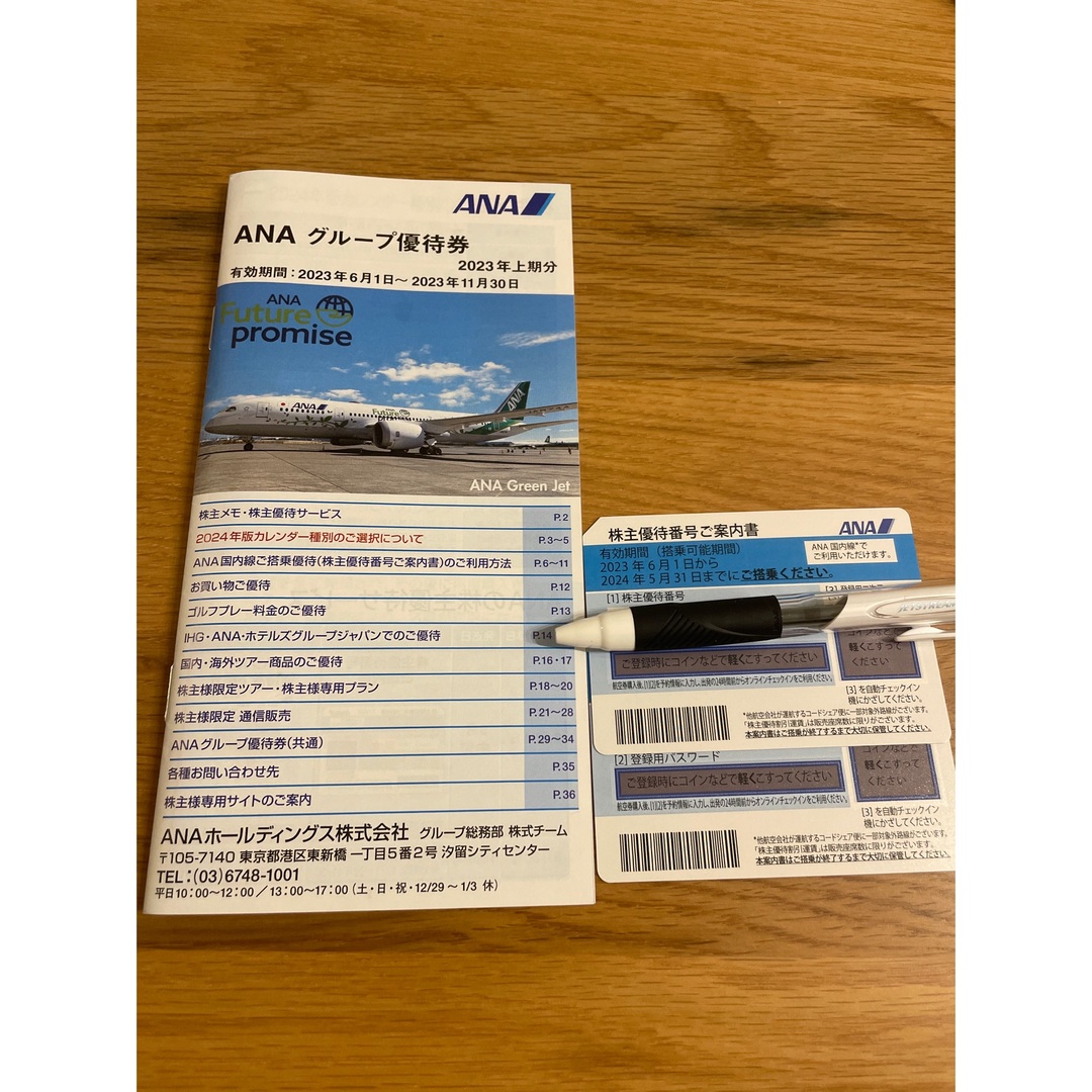 ANA(全日本空輸)(エーエヌエー(ゼンニッポンクウユ))のANA株主優待券2枚　グループ優待冊子 チケットの優待券/割引券(その他)の商品写真